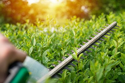 Landscaping gardening gloucester uk